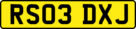 RS03DXJ