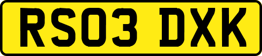 RS03DXK