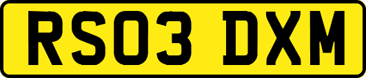 RS03DXM