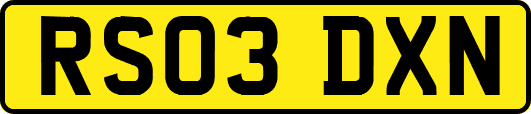 RS03DXN