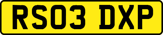 RS03DXP