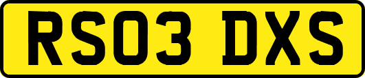 RS03DXS