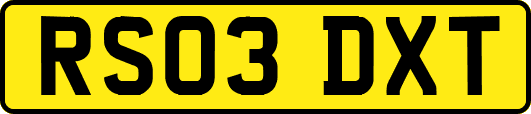 RS03DXT