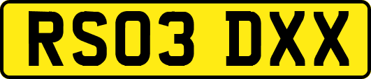 RS03DXX