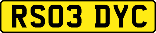 RS03DYC