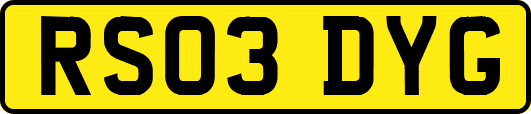 RS03DYG