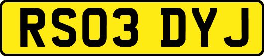 RS03DYJ