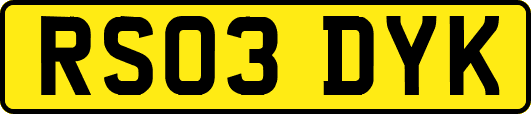 RS03DYK