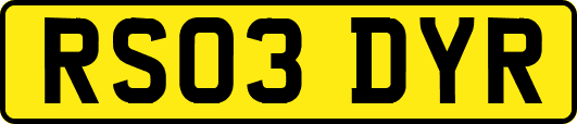 RS03DYR