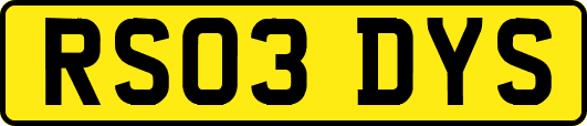 RS03DYS