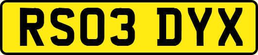 RS03DYX
