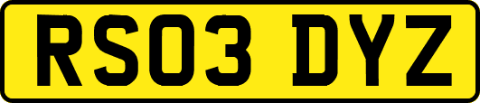 RS03DYZ