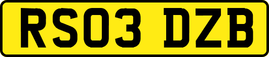 RS03DZB