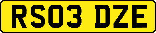 RS03DZE