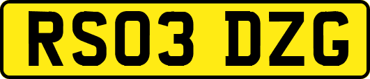 RS03DZG