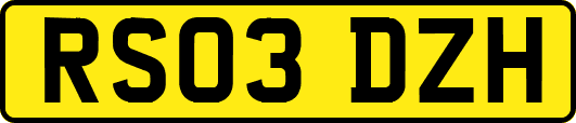 RS03DZH