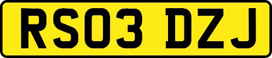 RS03DZJ