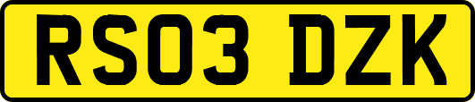 RS03DZK