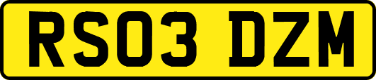 RS03DZM
