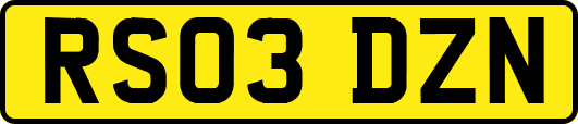RS03DZN