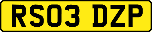 RS03DZP
