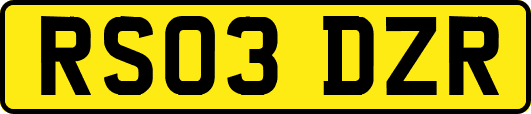 RS03DZR
