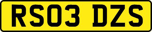 RS03DZS