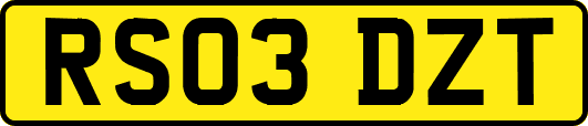 RS03DZT