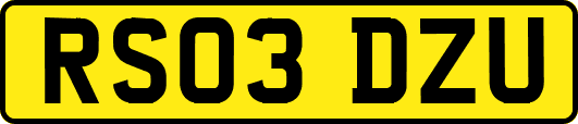 RS03DZU