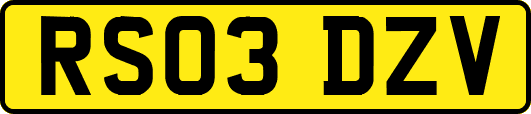 RS03DZV