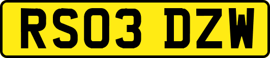 RS03DZW