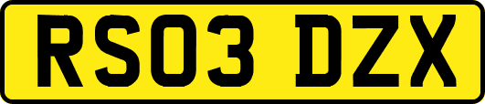 RS03DZX