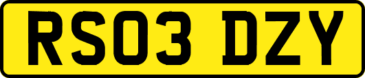 RS03DZY