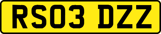 RS03DZZ