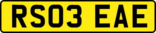 RS03EAE