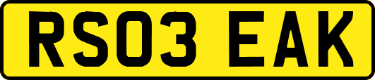 RS03EAK