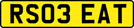 RS03EAT