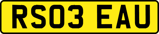 RS03EAU