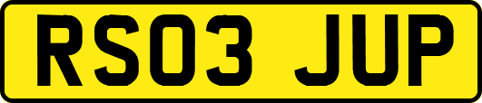 RS03JUP