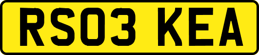 RS03KEA