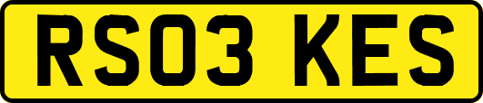 RS03KES
