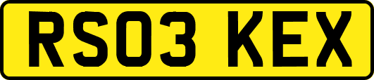 RS03KEX