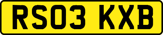 RS03KXB