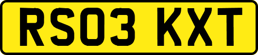 RS03KXT