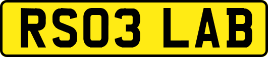 RS03LAB
