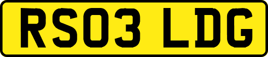 RS03LDG