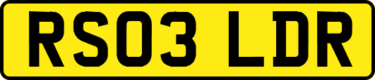 RS03LDR