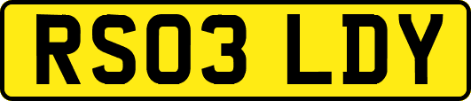 RS03LDY