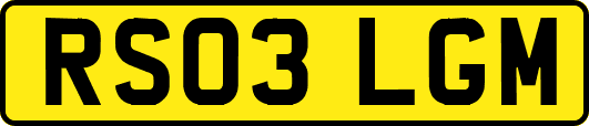RS03LGM