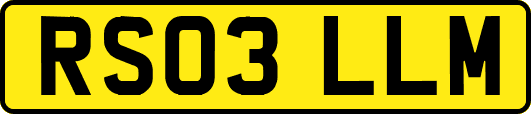 RS03LLM